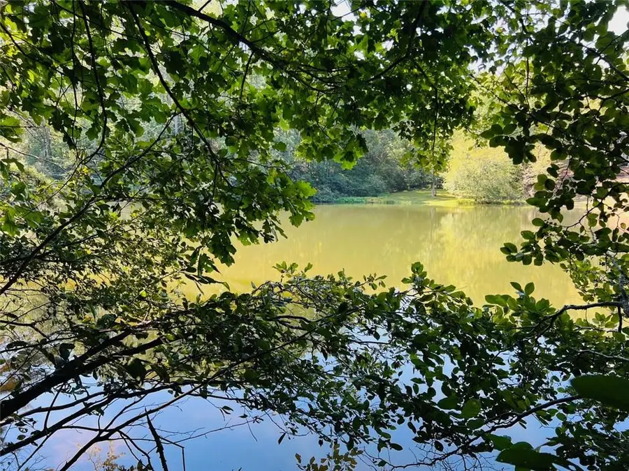 4/ 5 Maxwell Mountain Road, Ellijay, GA 30540 - Image #2