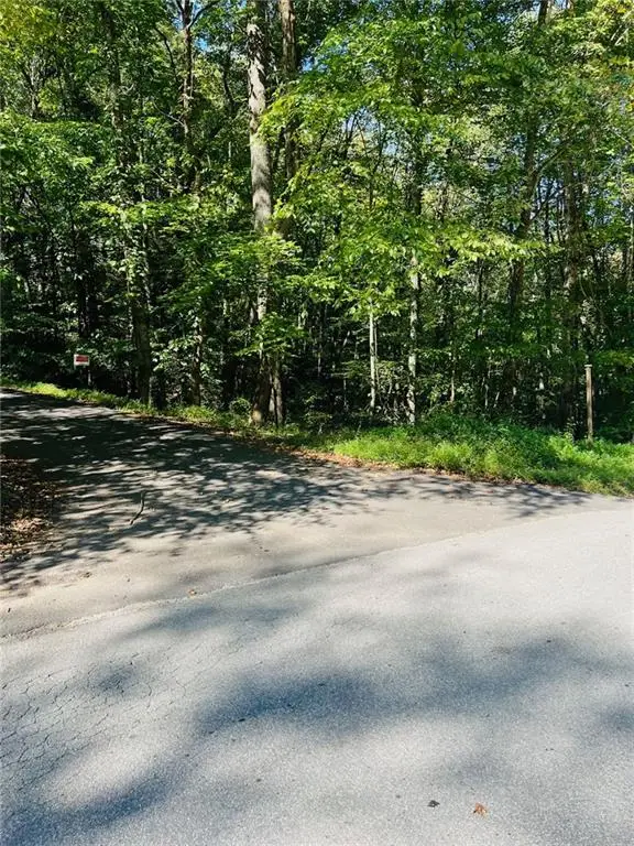 4/ 5 Maxwell Mountain Road, Ellijay, GA 30540 - Image #3