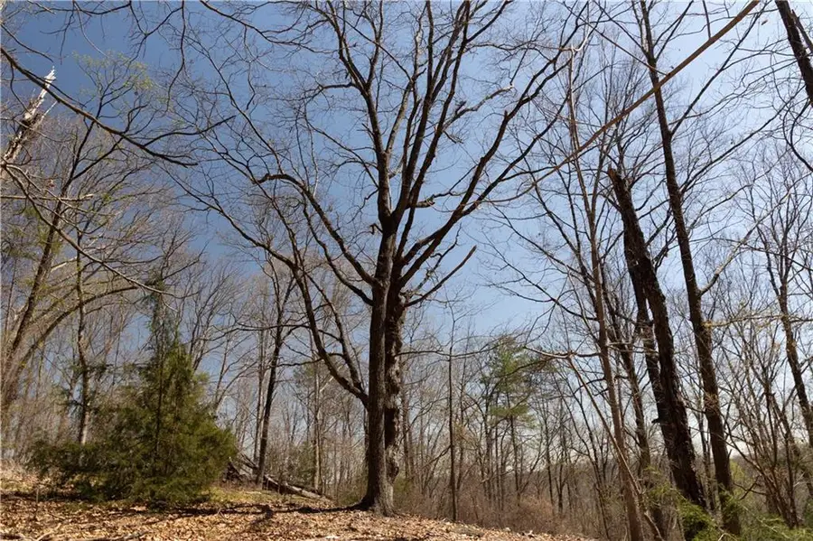 0 Soapstone Road, Banks, GA 30511 - Image #2