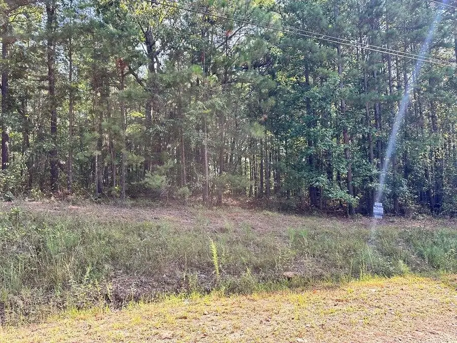 211 Kelley Creek Road, Waco, GA 30182 - Image #2