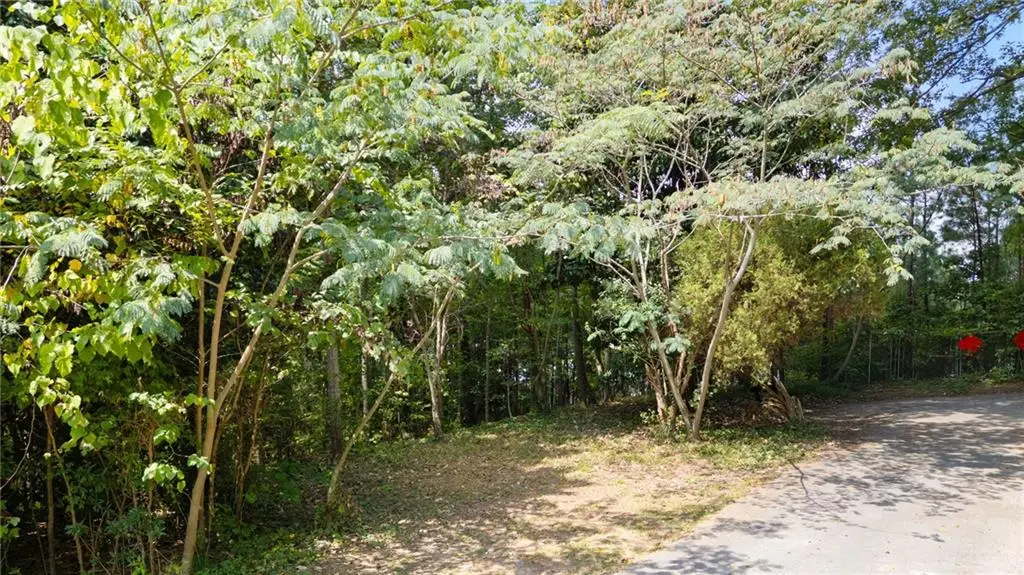 0 Reed Street, Canton, GA 30114 - Image #1