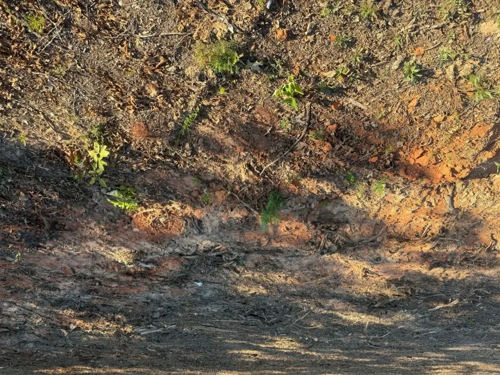 3980 Highway 5, Douglasville, GA 30135 - Image #1