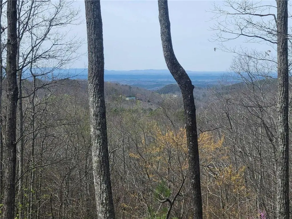 1005 Mayfield Lane Ne, Ranger, GA 30734 - Image #1