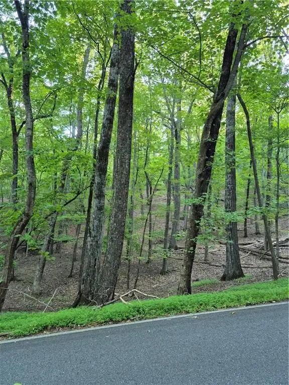 263 Wake Robin, Big Canoe, GA 30143 - Image #3