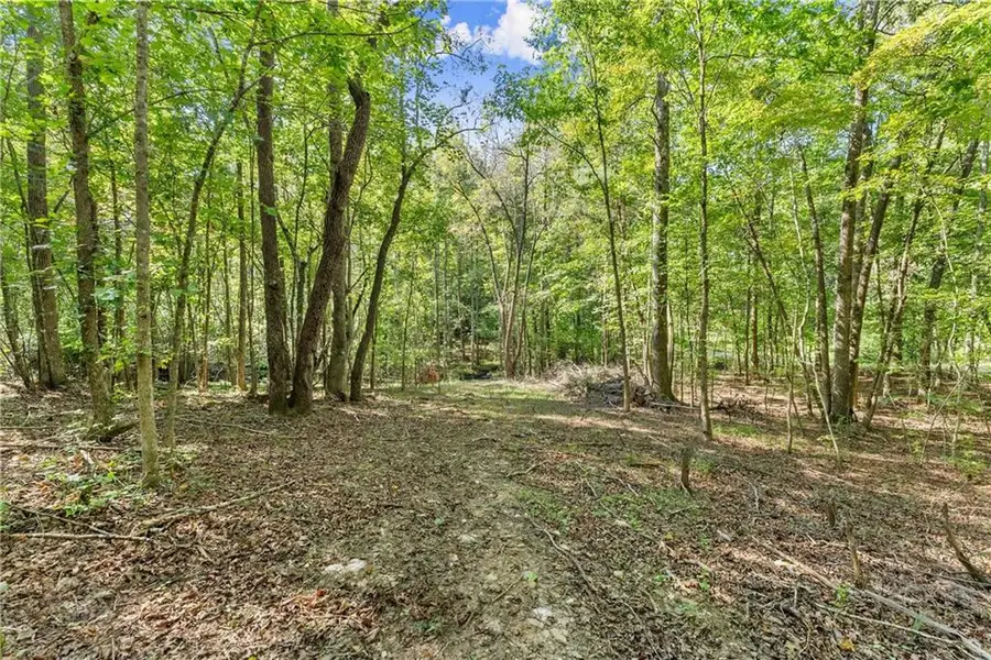 0 Cleve Wright Road, Dawsonville, GA 30534 - Image #2