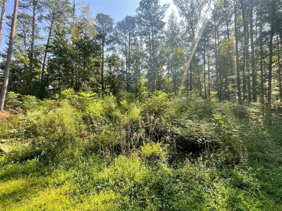 6031 Falcon Court, Austell, GA 30106 - Image #3