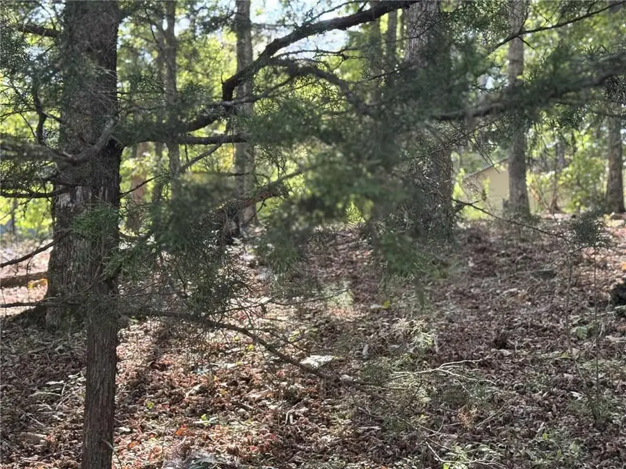 0 Cagle Road Ne, Fairmount, GA 30139 - Image #2