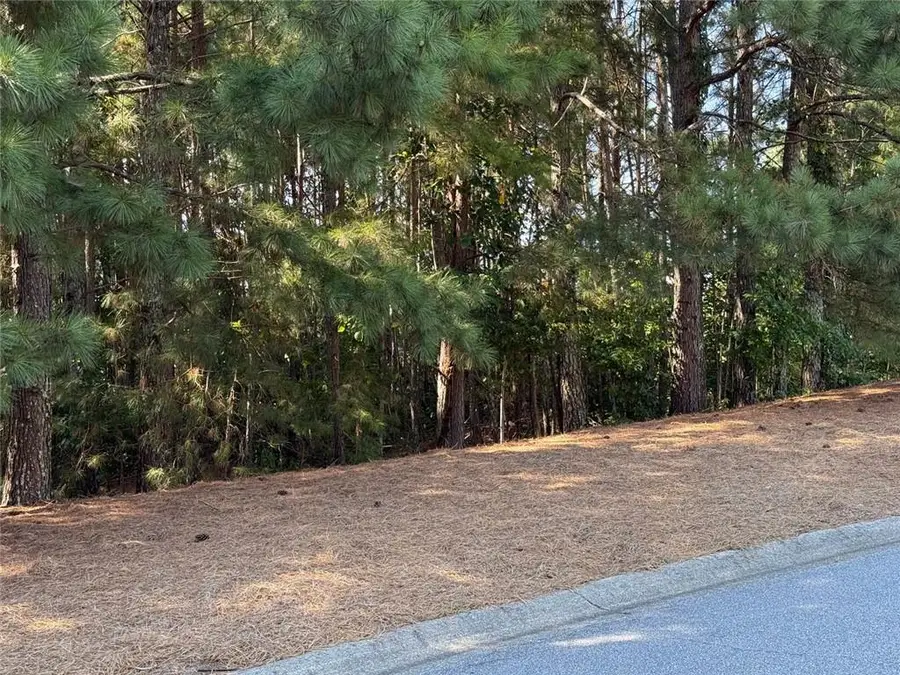 310 Burgess Mill Trail, Suwanee, GA 30024 - Image #3