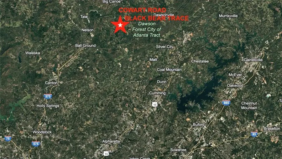 201 Black Bear Trace, Dawsonville, GA 30534 - Image #2