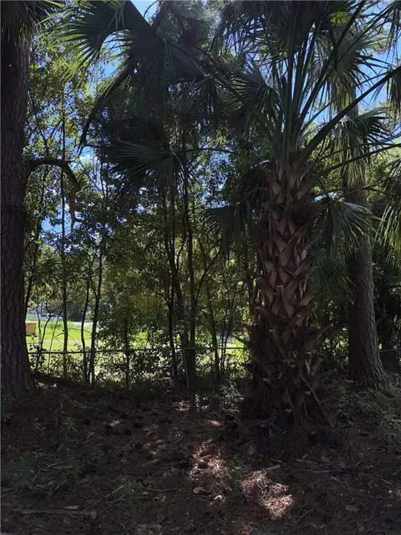 409 Davis Avenue, Tifton, GA 31794 - Image #3