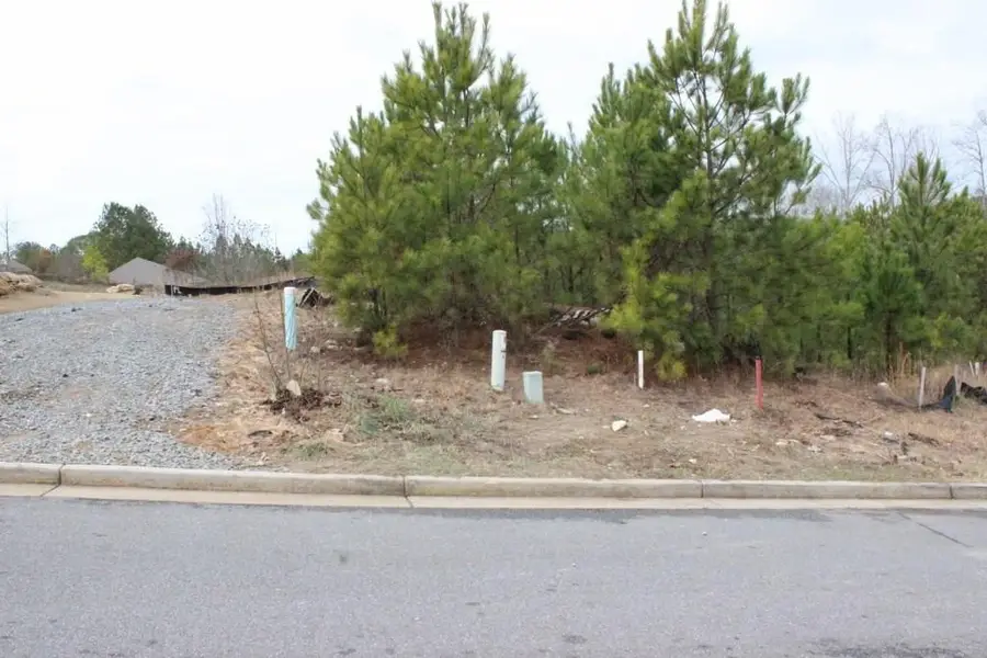 2 Lots Village Lane, Woodstock, GA 30188 - Image #2