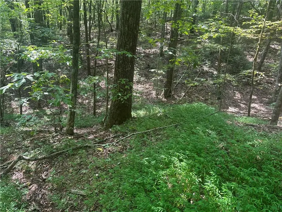 101 Deer Trail, Jasper, GA 30143 - Image #3