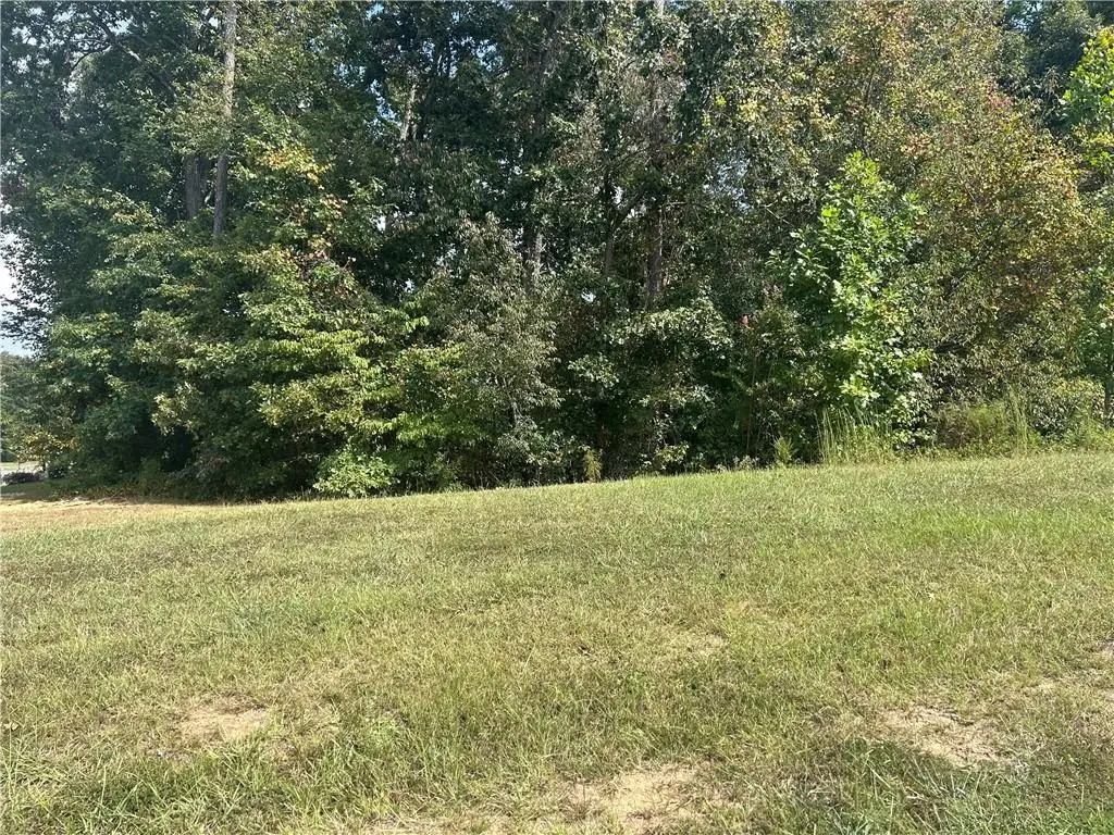 1381 Larose Drive, Hoschton, GA 30548 - #1