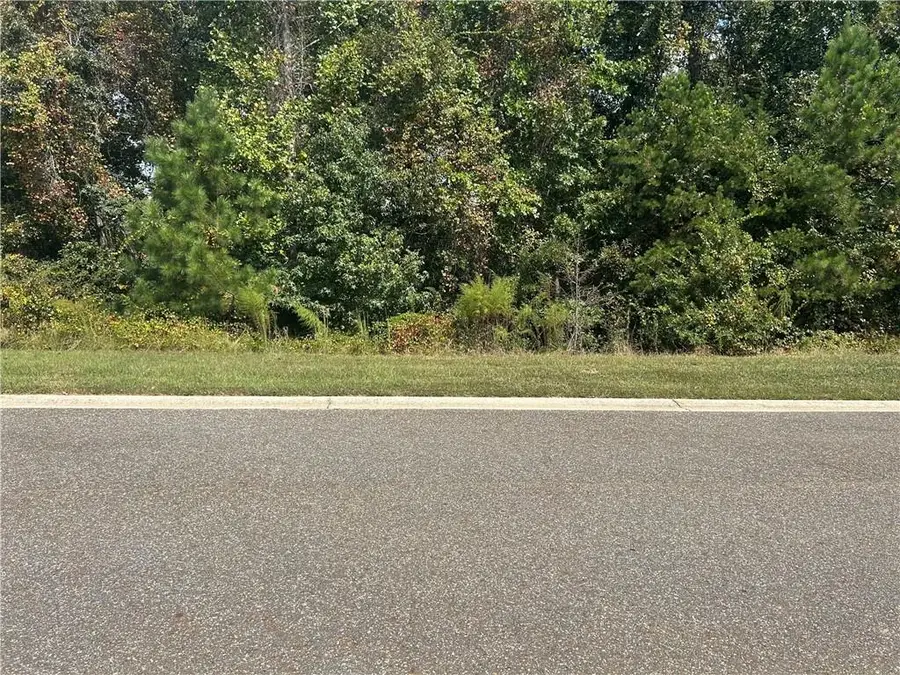 1381 Larose Drive, Hoschton, GA 30548 - #3