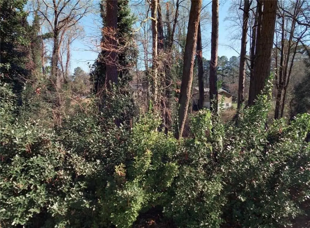 523 Spruce Drive, Pine Lake, GA 30072 - Image #1