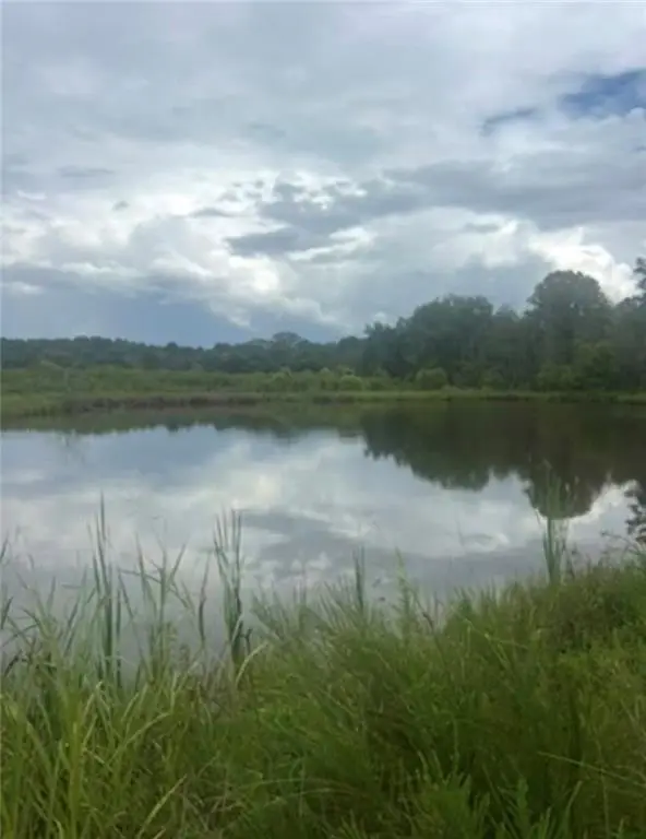 729 Taylor Town Road Ne, Ranger, GA 30734 - Image #2