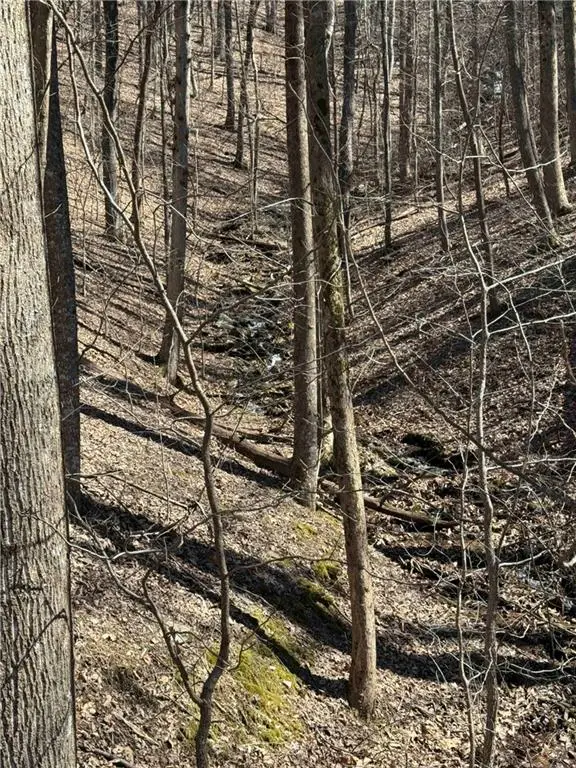 3366 Crippled Oak Trail, Jasper, GA 30143 - Image #3