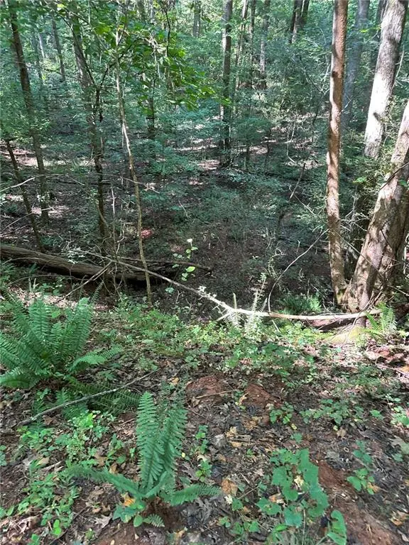 2470 Fears Road, Madison, GA 30650 - Image #2