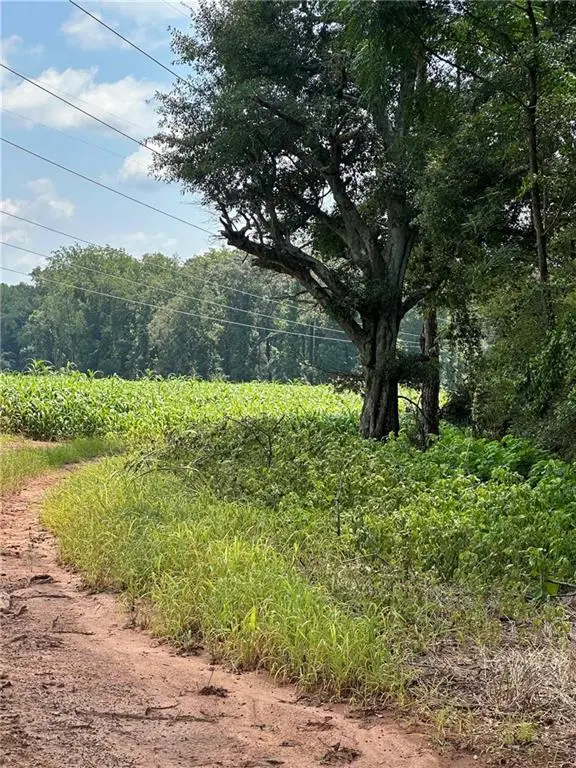 1981 A Broughton Road, Newborn, GA 30056