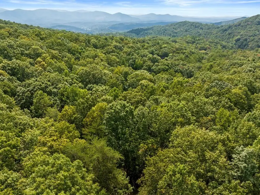 23 B Lake View Road, Cherry Log, GA 30522 - Image #3