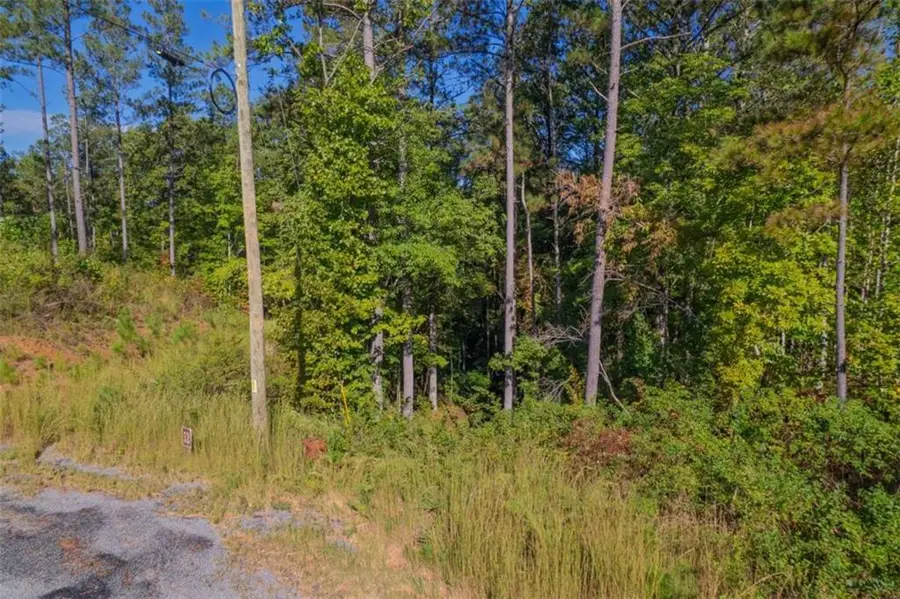 LOT 52 Royal Wulff Avenue, Talking Rock, GA 30175 - Image #3