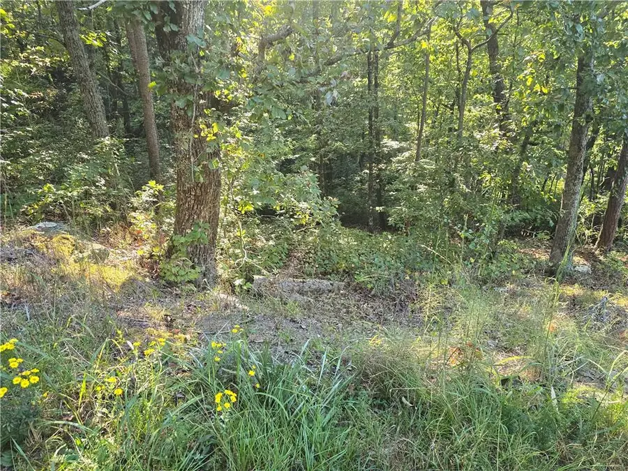 3831 Skyline Drive, Gainesville, GA 30501 - Image #2