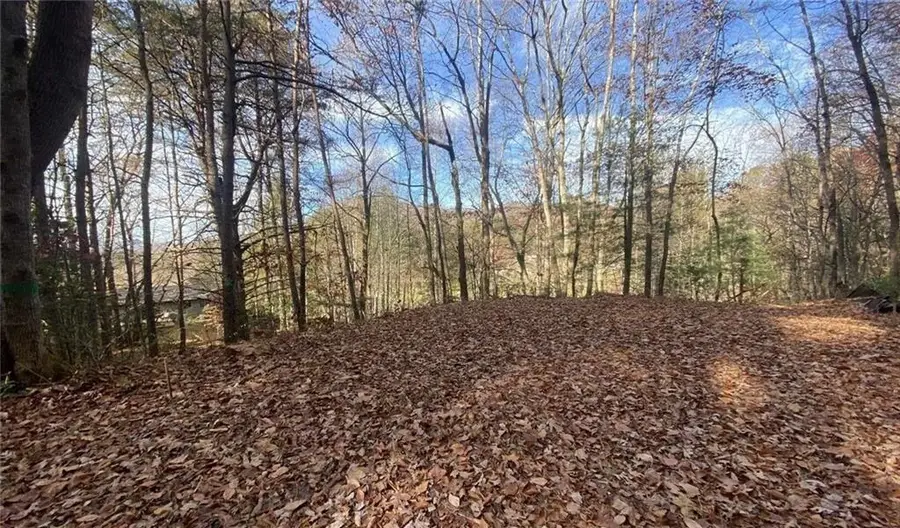 1 Barefoot Hills, Hiawassee, GA 30546 - Image #2
