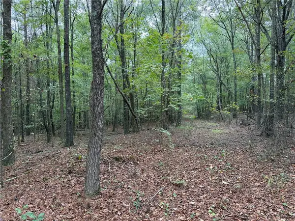 0 Colquitt Road, Cedartown, GA 30125