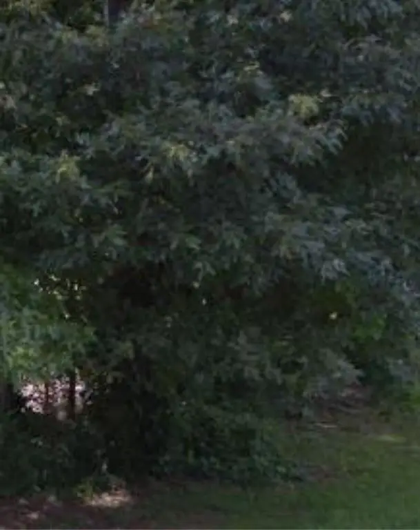 11005 Regents Court, Hampton, GA 30228 - Image #2