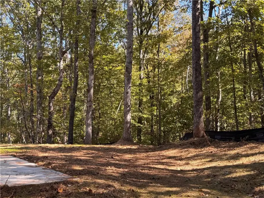 96 Hawks Ridge Ct, Cleveland, GA 30528 - Image #3