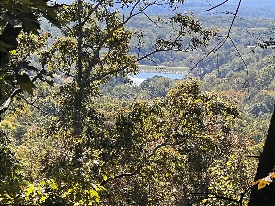 4428 Bee Tree Ridge Drive, Jasper, GA 30143 - Image #3