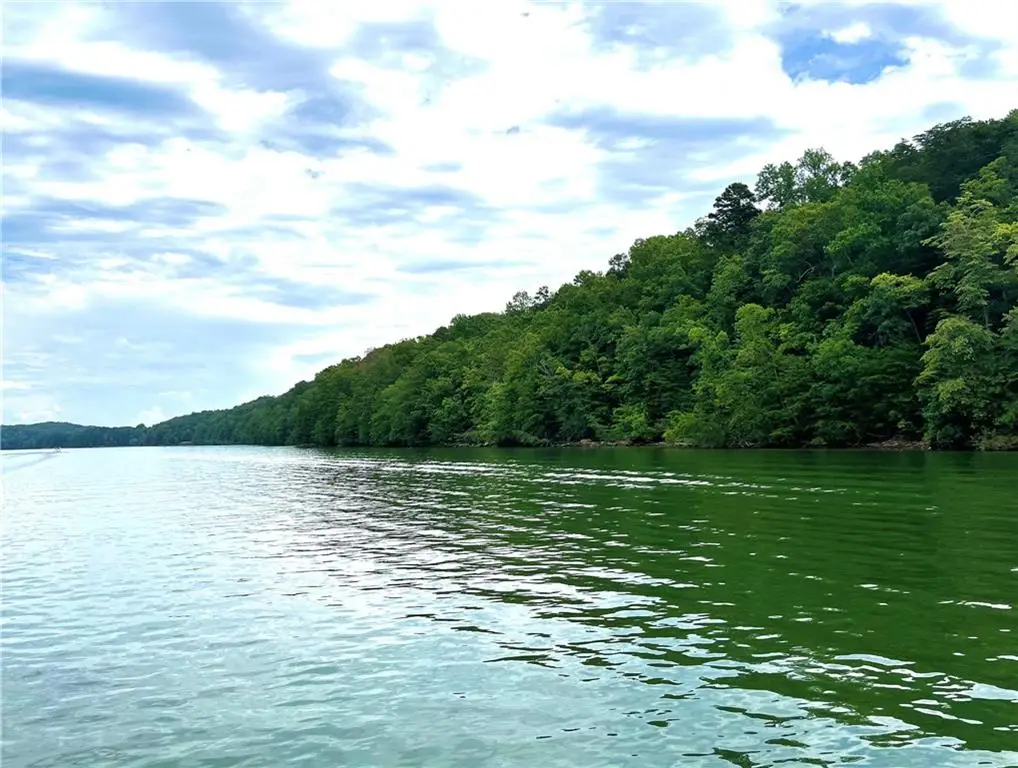 3324 Winterberry Court, Gainesville, GA 30501 - #1