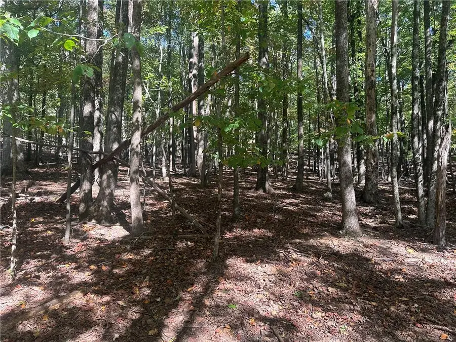 Lt1352 Willow Terrace, Jasper, GA 30143 - Image #2