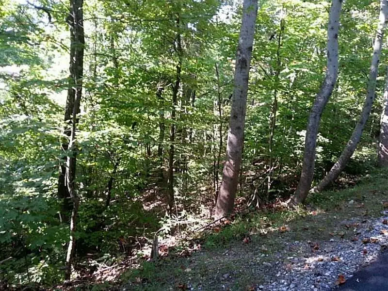 13a Greystone Road, Talking Rock, GA 30175 - Image #2