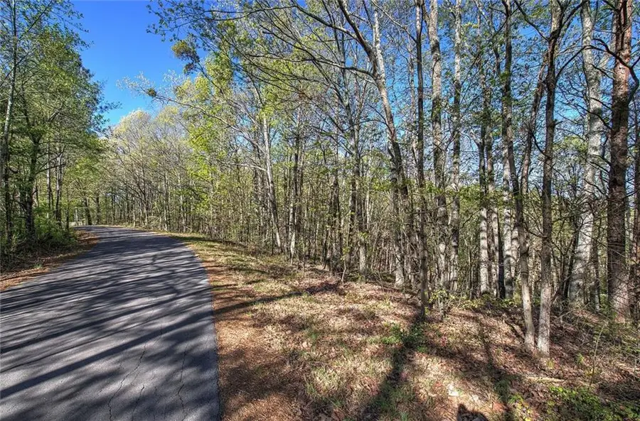 0 Mckibben Road, Buchanan, GA 30113 - Image #3