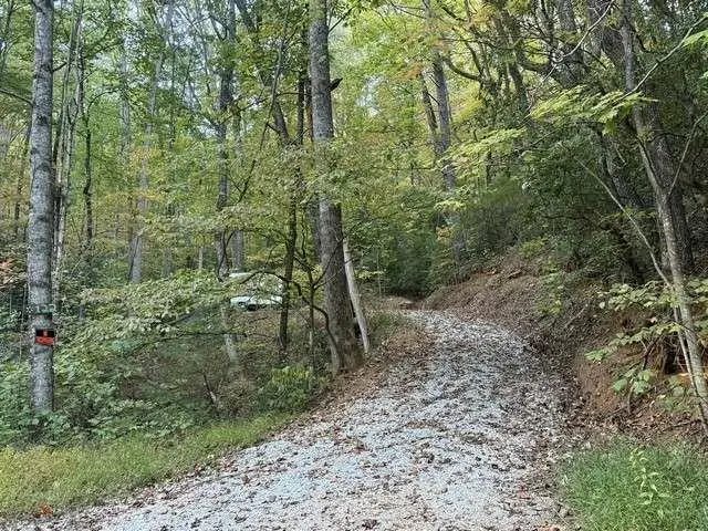 0 Wood Sorrel Ln, Clayton, GA 30525 - Image #2