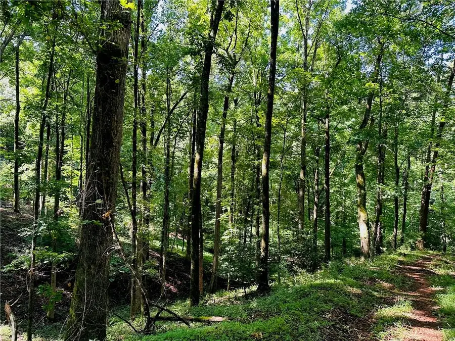 7.123 Acres Halls Mill Road, Dahlonega, GA 30533 - Image #3