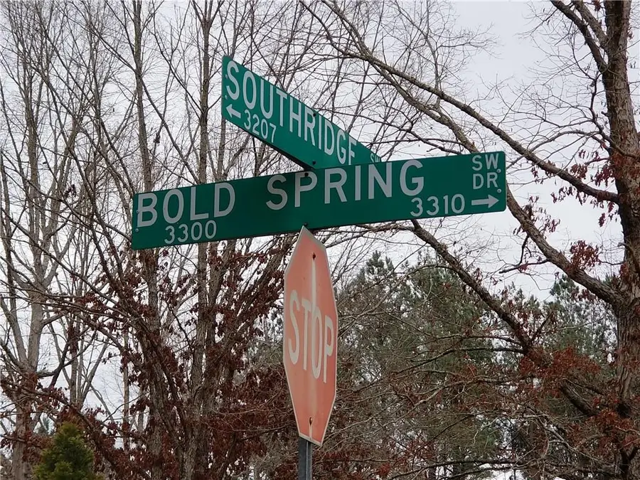 3310 Bold Spring Drive Sw, Stockbridge, GA 30281 - Image #3