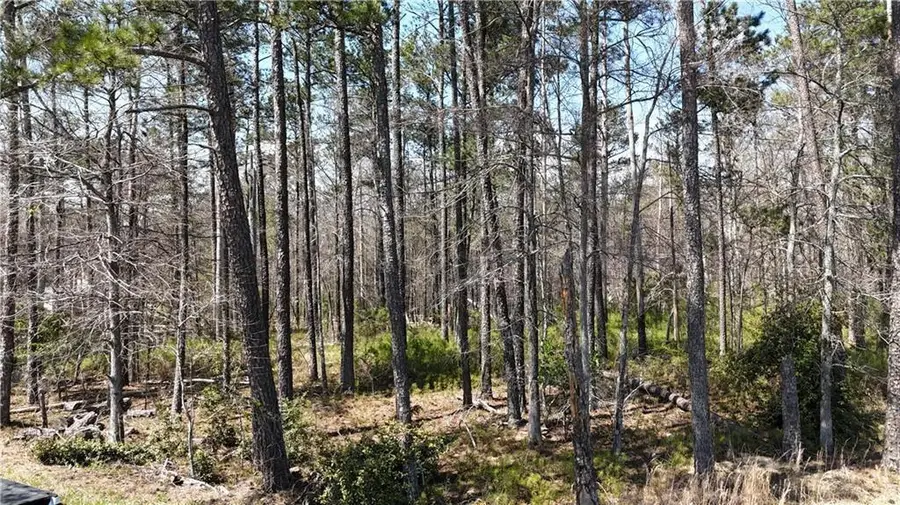 0 Kings Camp Road Se, Acworth, GA 30102 - Image #3