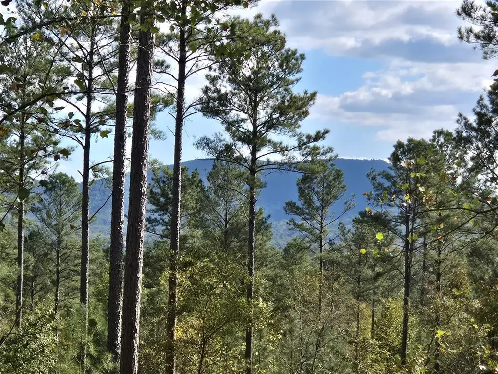 3871 Hwy 140 Ne, Rydal, GA 30171 - #1