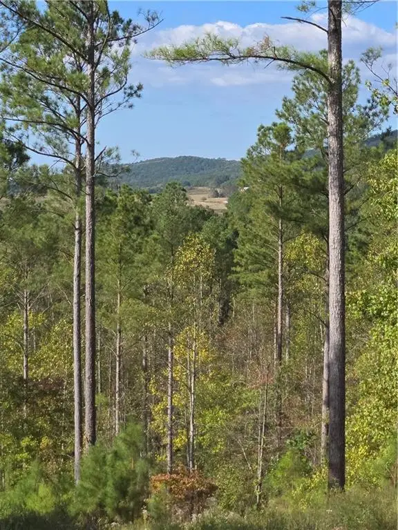 3871 Hwy 140 Ne, Rydal, GA 30171 - #2