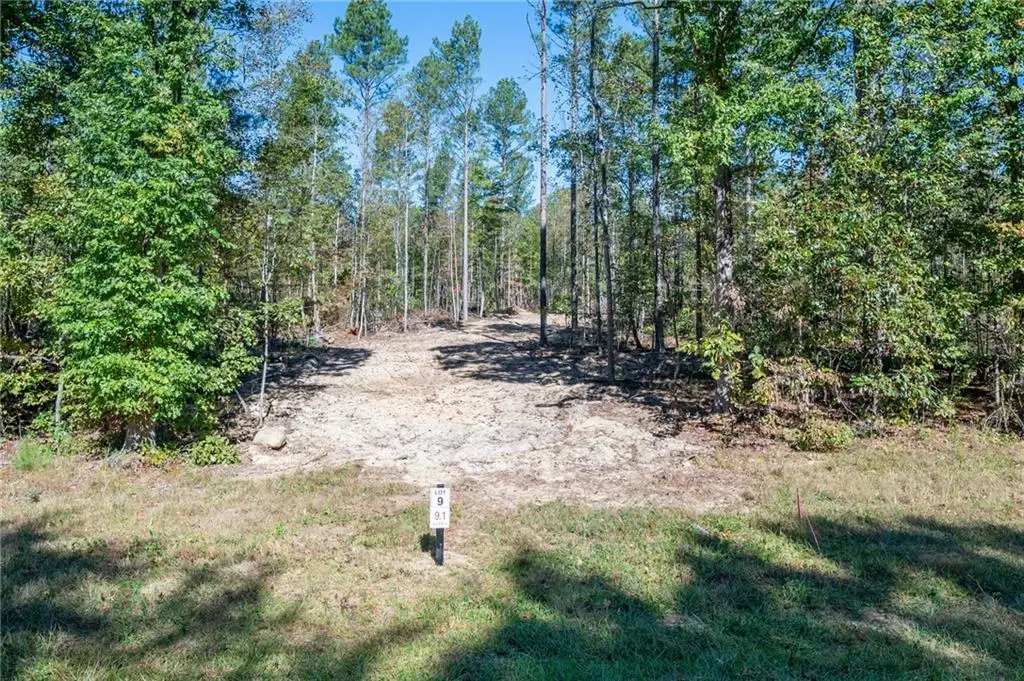 3863 Hwy 140 Ne, Rydal, GA 30171 - #1