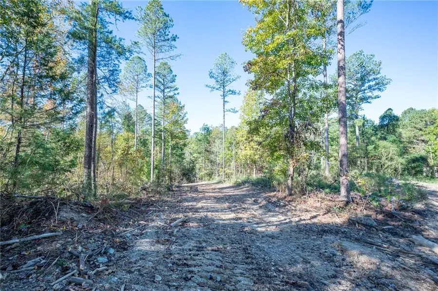 3863 Hwy 140 Ne, Rydal, GA 30171 - #2