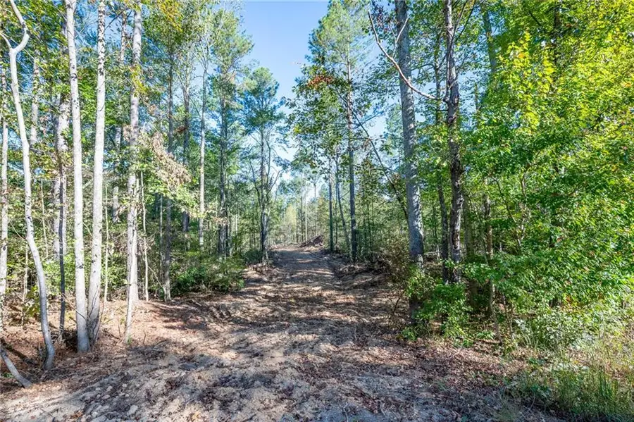 3859 Hwy 140 Ne, Rydal, GA 30171 - #2