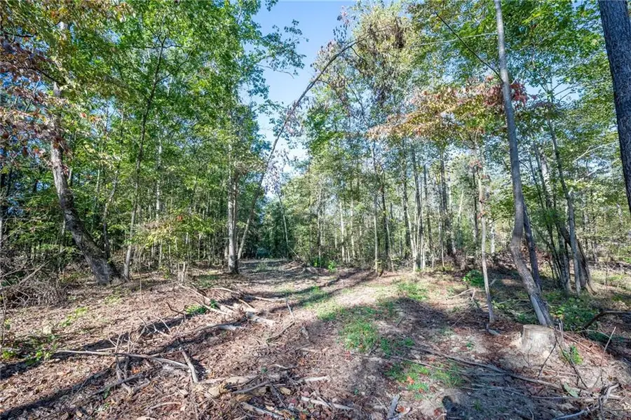 3859 Hwy 140 Ne, Rydal, GA 30171 - #3