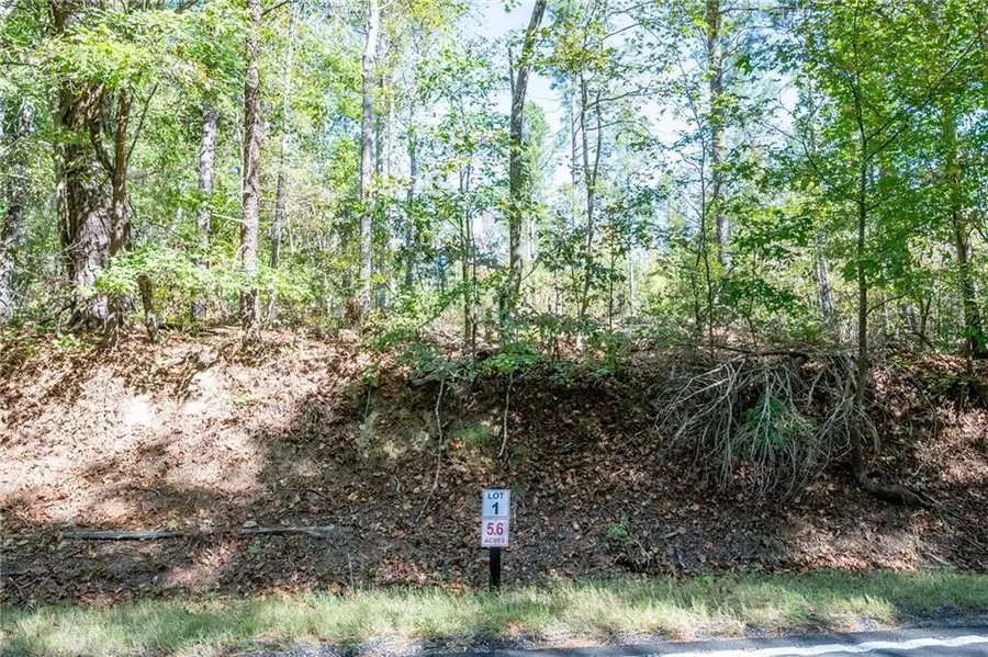 3785 Hwy 140 Ne, Rydal, GA 30171 - Image #2