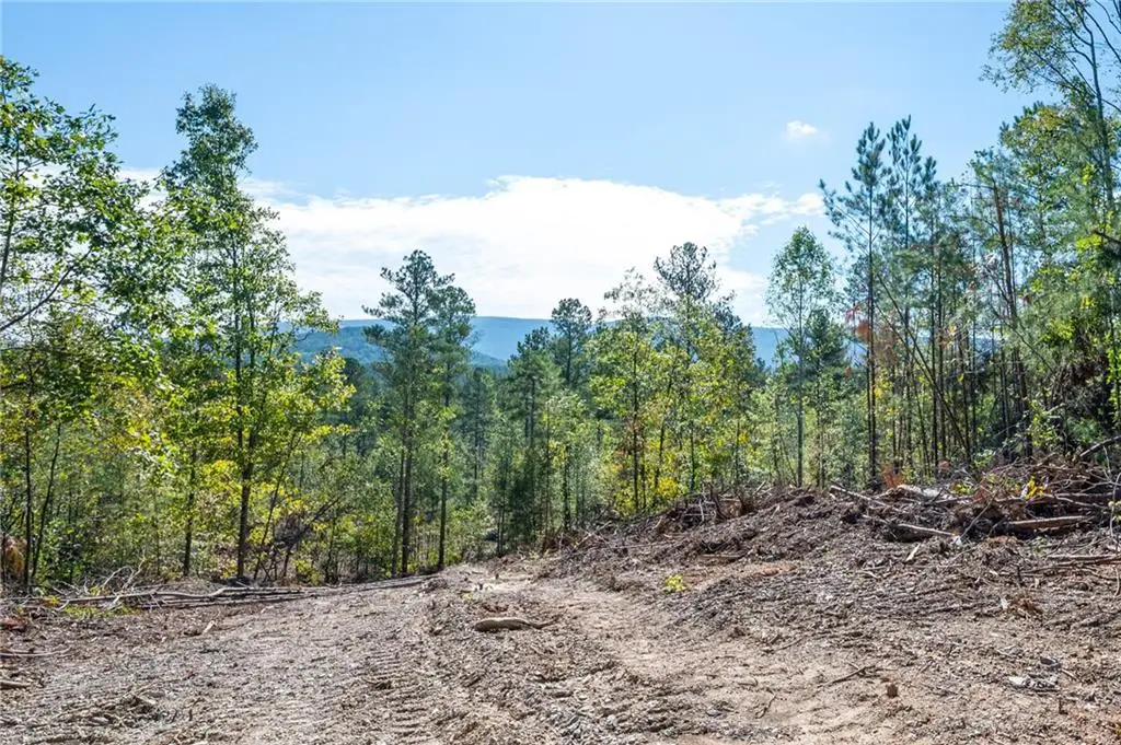 3793 Hwy 140 Ne, Rydal, GA 30171 - #1