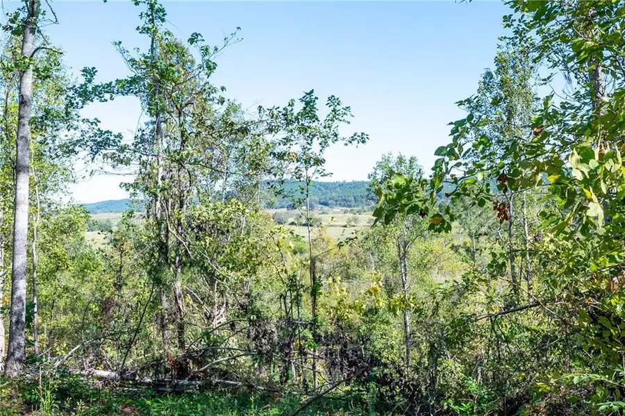 3793 Hwy 140 Ne, Rydal, GA 30171 - #2