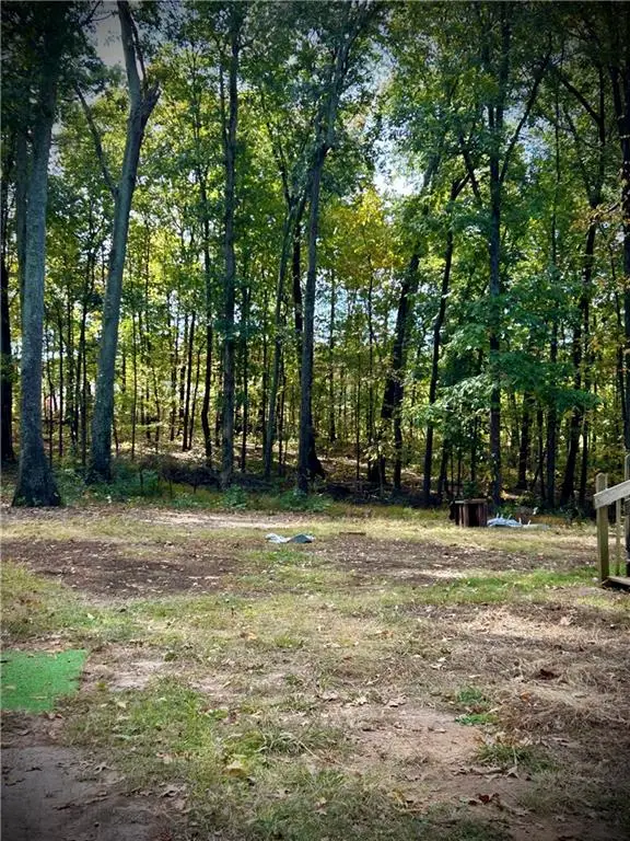 2664 E Paulding Drive, Dallas, GA 30157 - Image #3