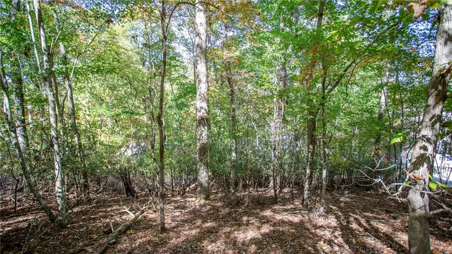 7836 Beachwood Drive, Murrayville, GA 30564 - Image #3